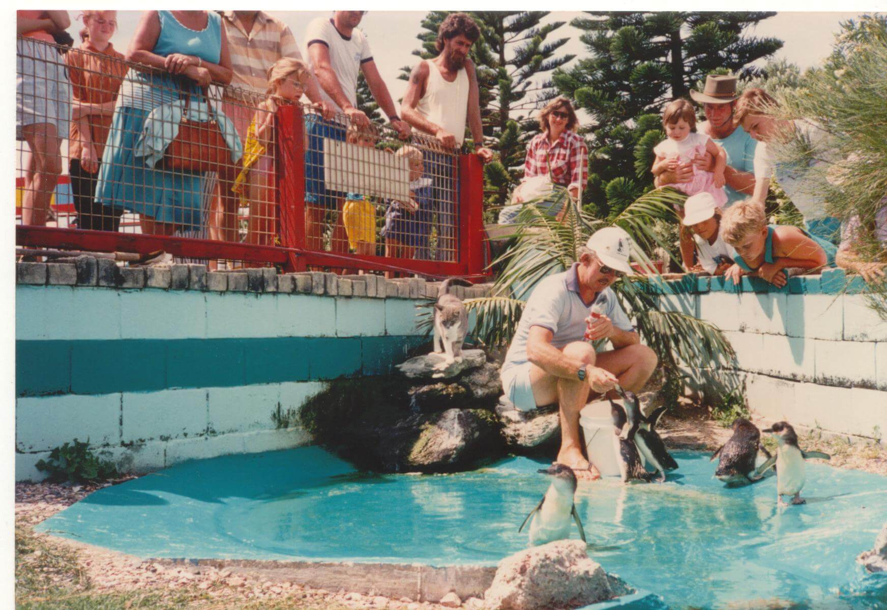 Port Macquarie Museum Revealing Port Macquarie's historical past and revealing it's stories since 1957