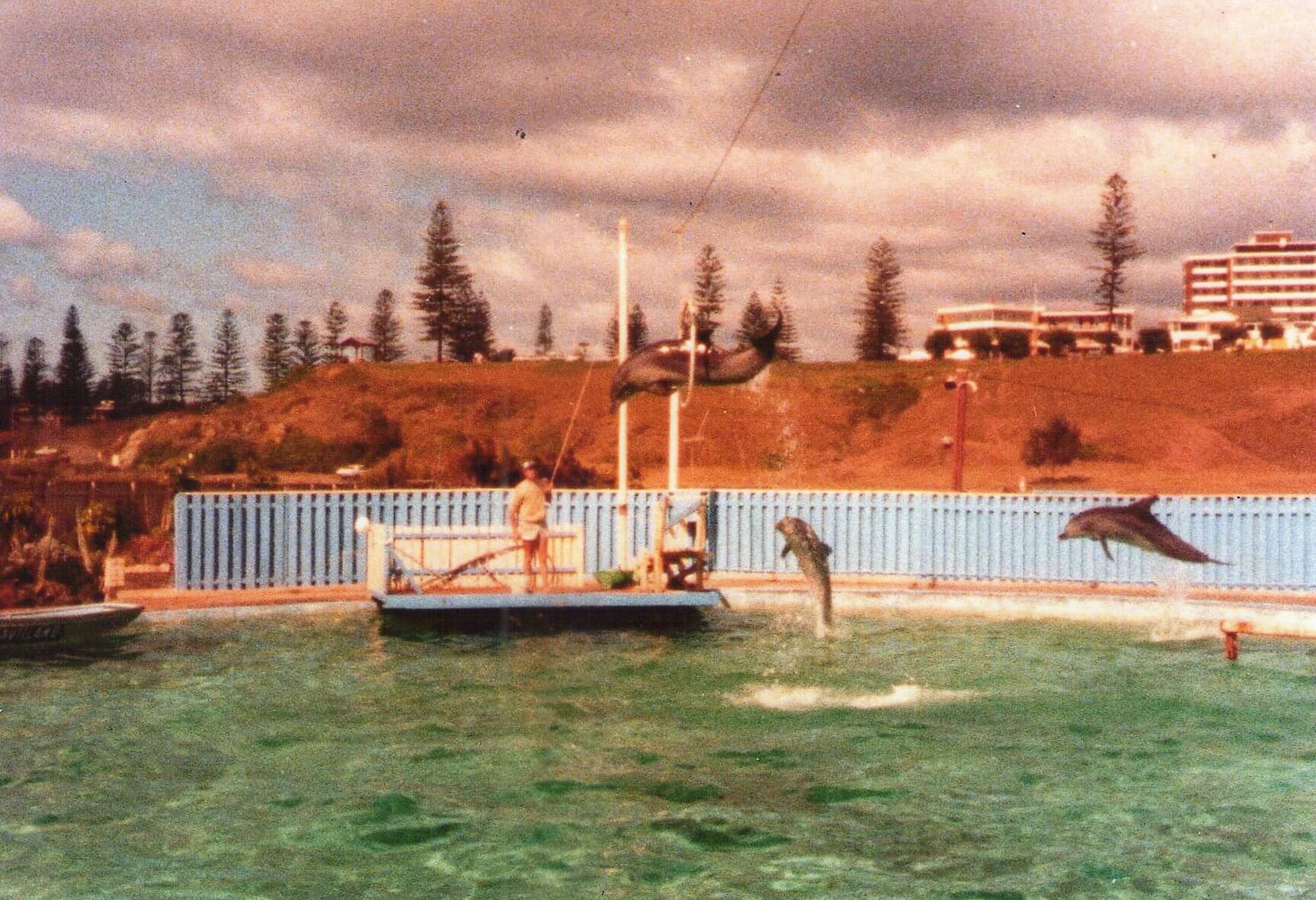 King Neptunes Park Port Macquarie Museum