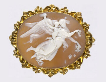 <div>CABINET OF CURIOSITY</div><div>&nbsp;</div>