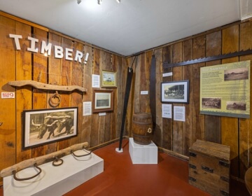 TIMBER!&nbsp;&nbsp;<br><br>
