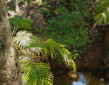 BIRRBAY BARRAY DJUYAL&nbsp;<br><div><br></div>